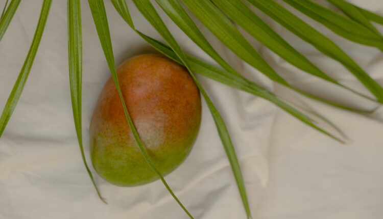 Nutritionist Hyde Park