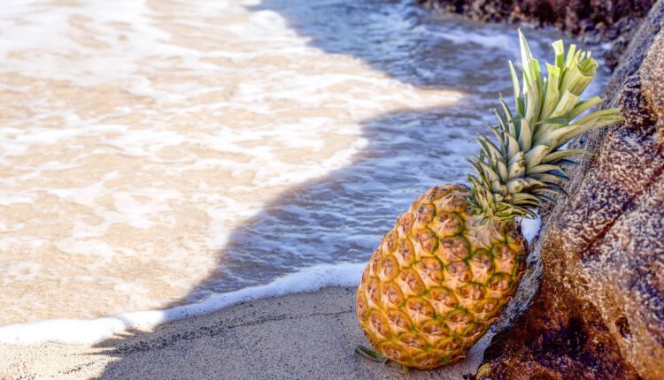 Nutritionist Garland Utah