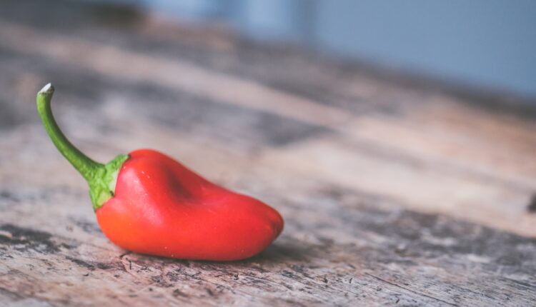 Nutritionist Vernal Utah