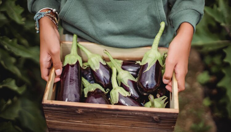 Nutritionist Santaquin Utah